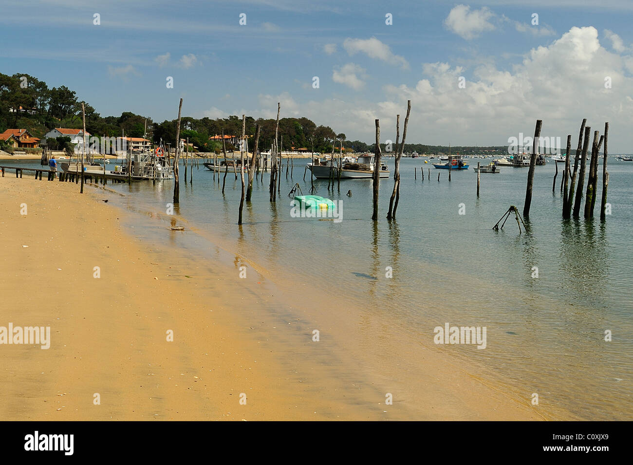 Shore front with poles showing oyster harvesting beds in Cap Ferret, Arcachon bay, department of Gironde, France Stock Photo