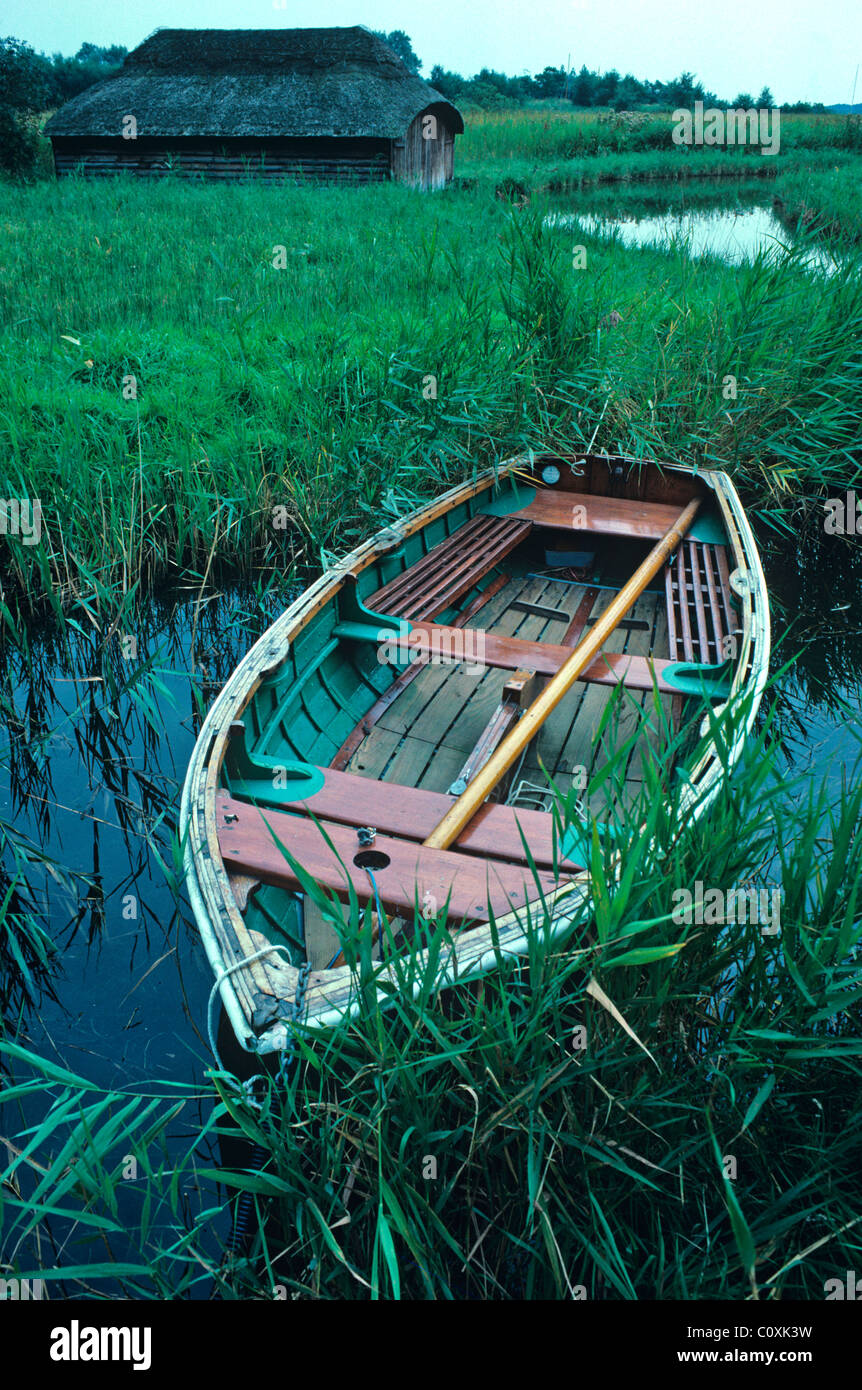 Boat and reeds hires stock photography and images Alamy