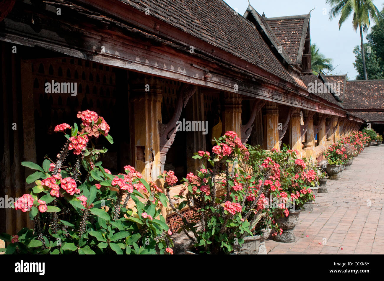Courtyard with flowers, Wat Sisaket, Vientiane, Laos Stock Photo