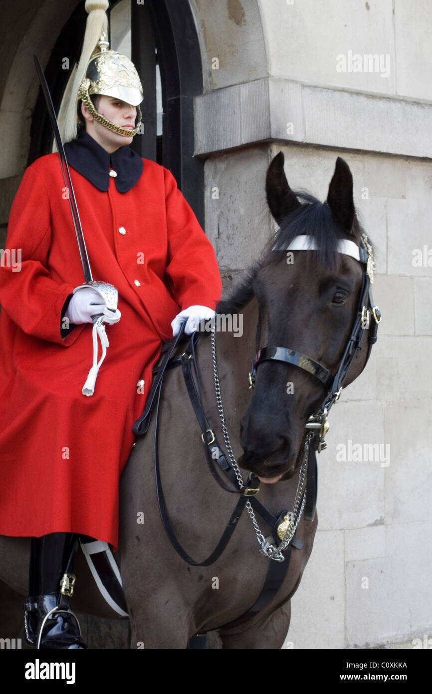 One of the Queen of England Horses on Guard at Horse Guards London