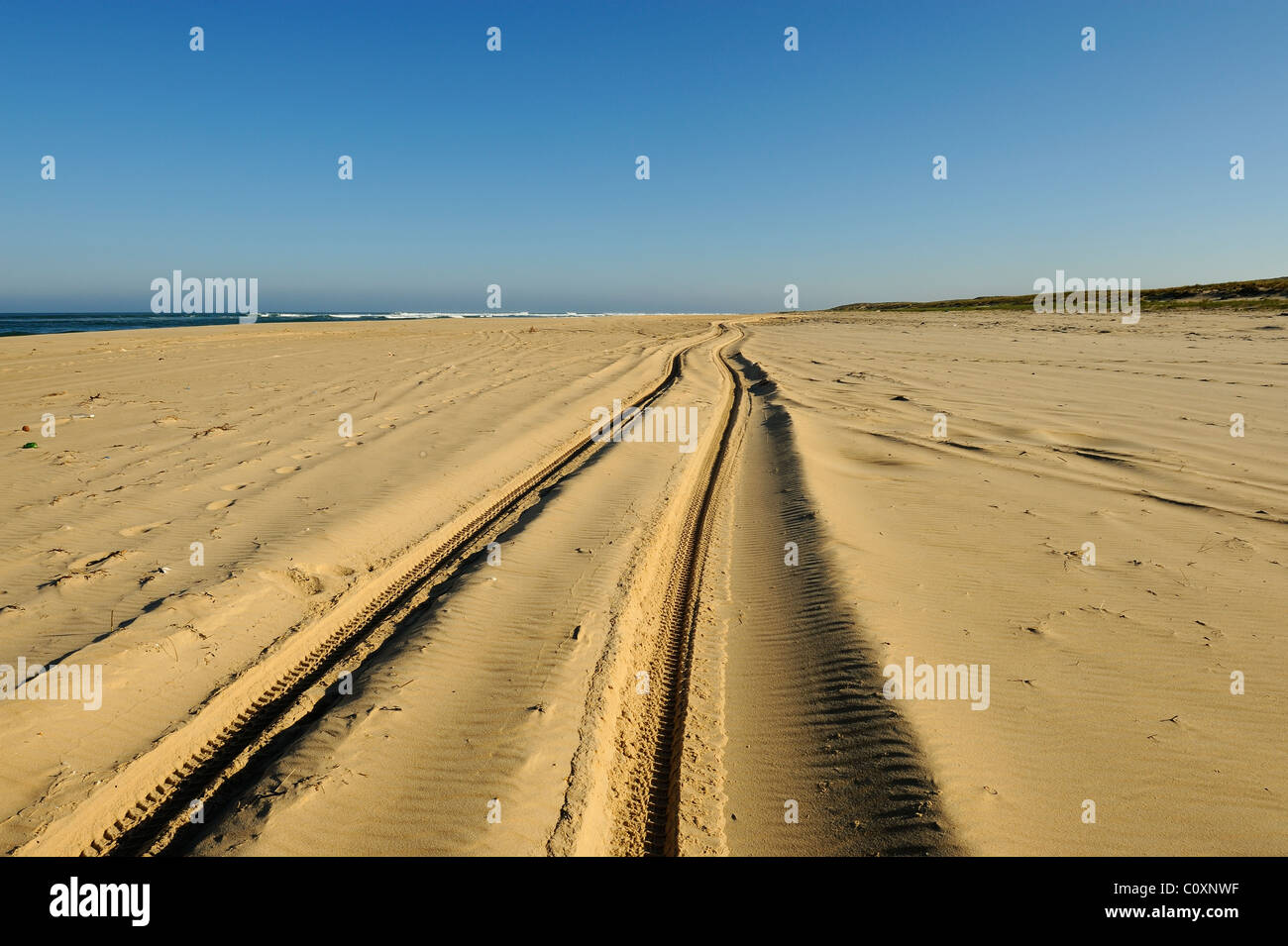 Car tracks on a sandy beach of Atlantic Ocean, le Cap Ferret, Gironde, South West France Stock Photo