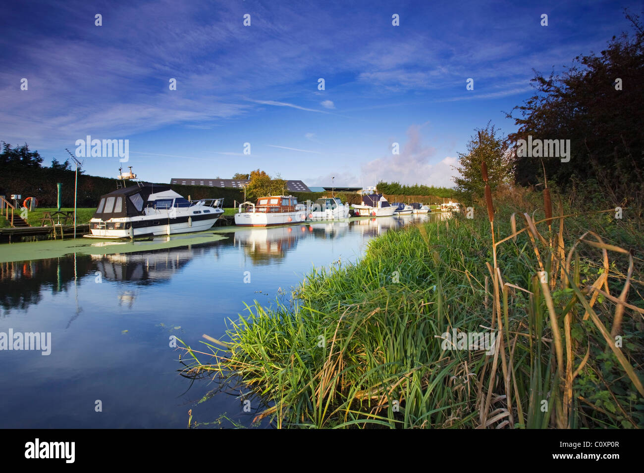 Boats moored at Brigg Marina on the River Ancholme Stock Photo