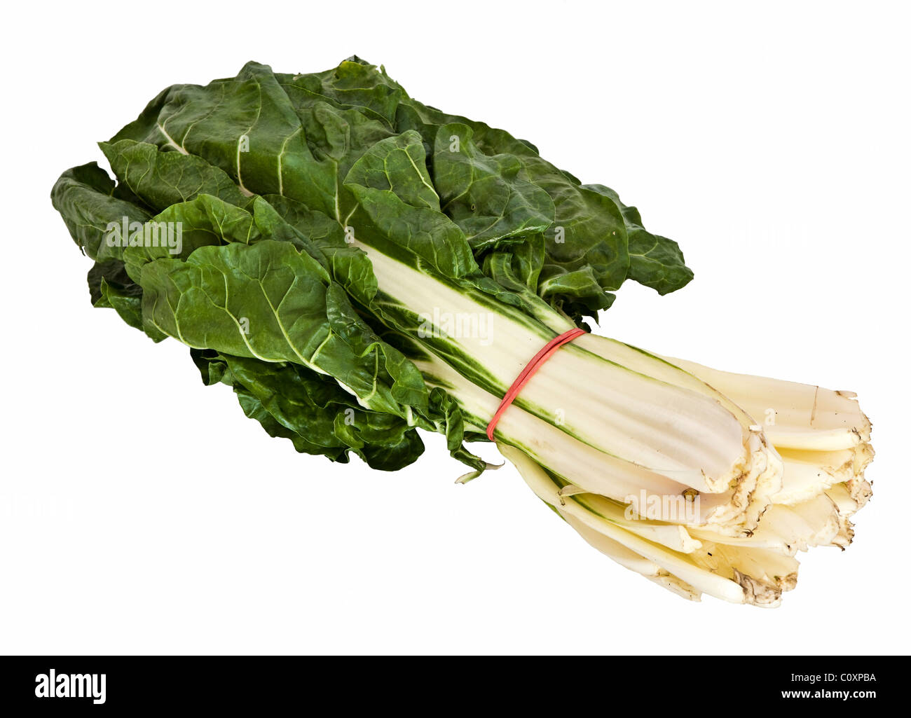 A bundle of chards Stock Photo