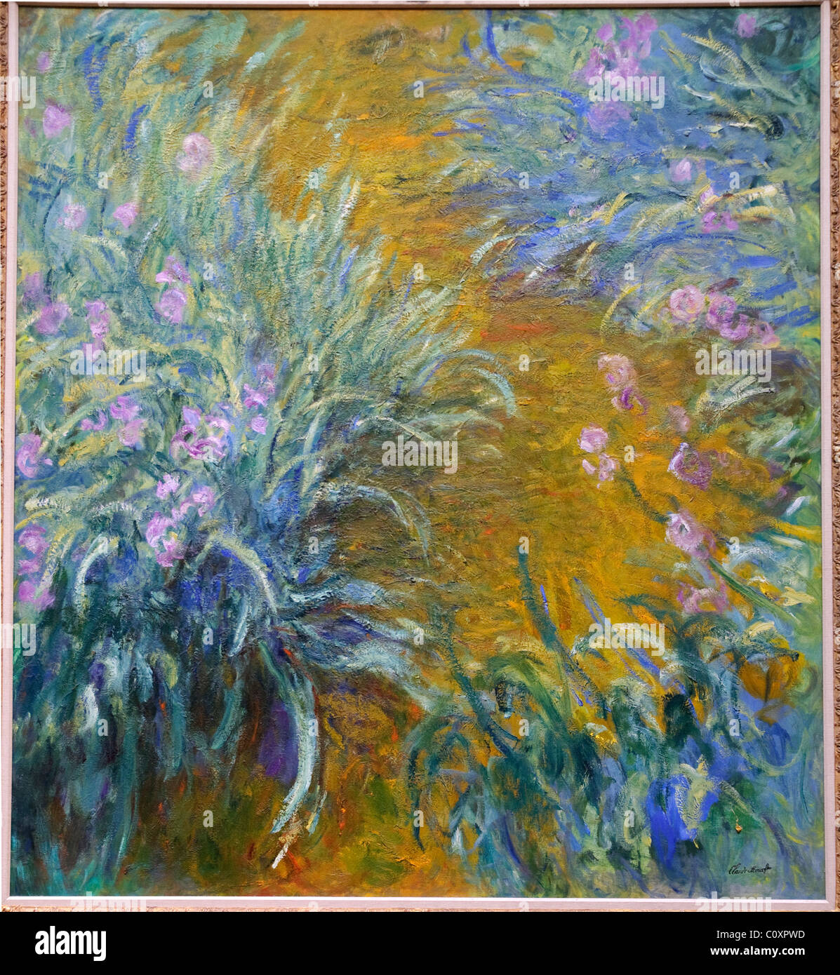 The Path through the Irises, 1914–17, by Claude Monet Stock Photo - Alamy