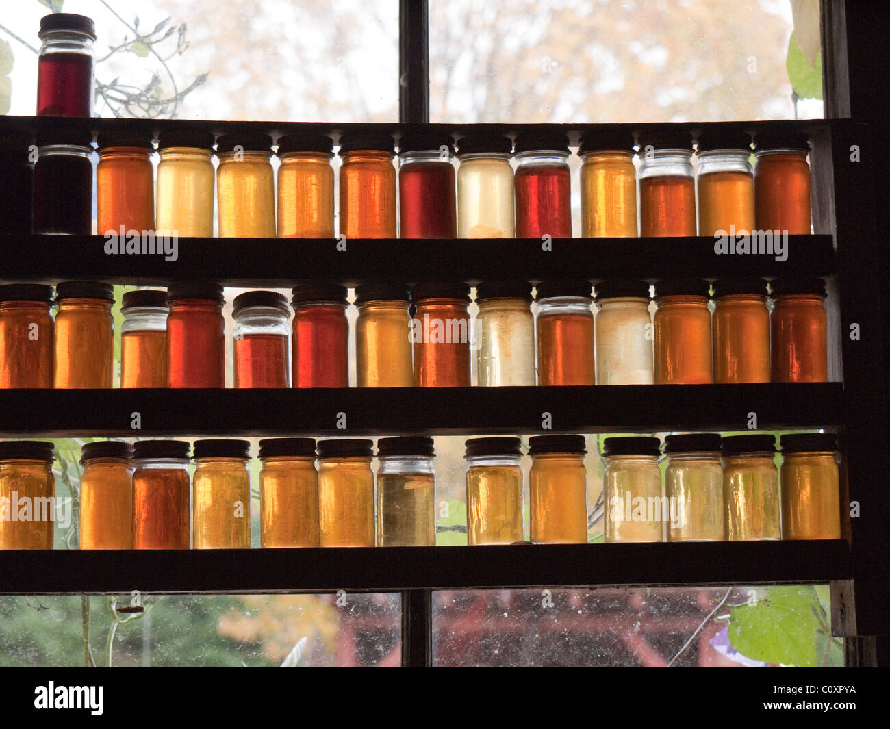Maple Syrup Farm near Montpelier Vermont with grades of syrup shown