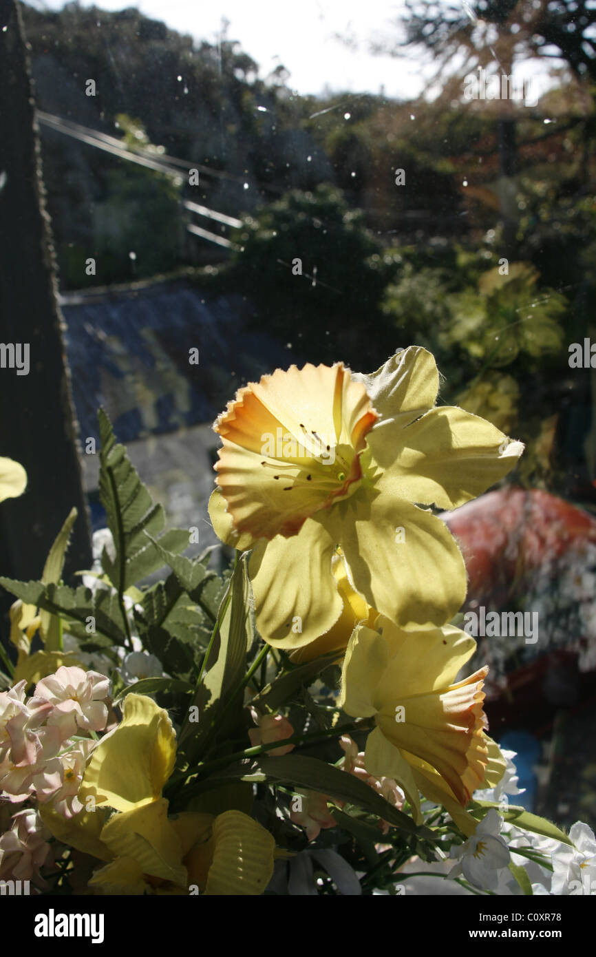 plastic daffodils by house window sill Stock Photo Alamy