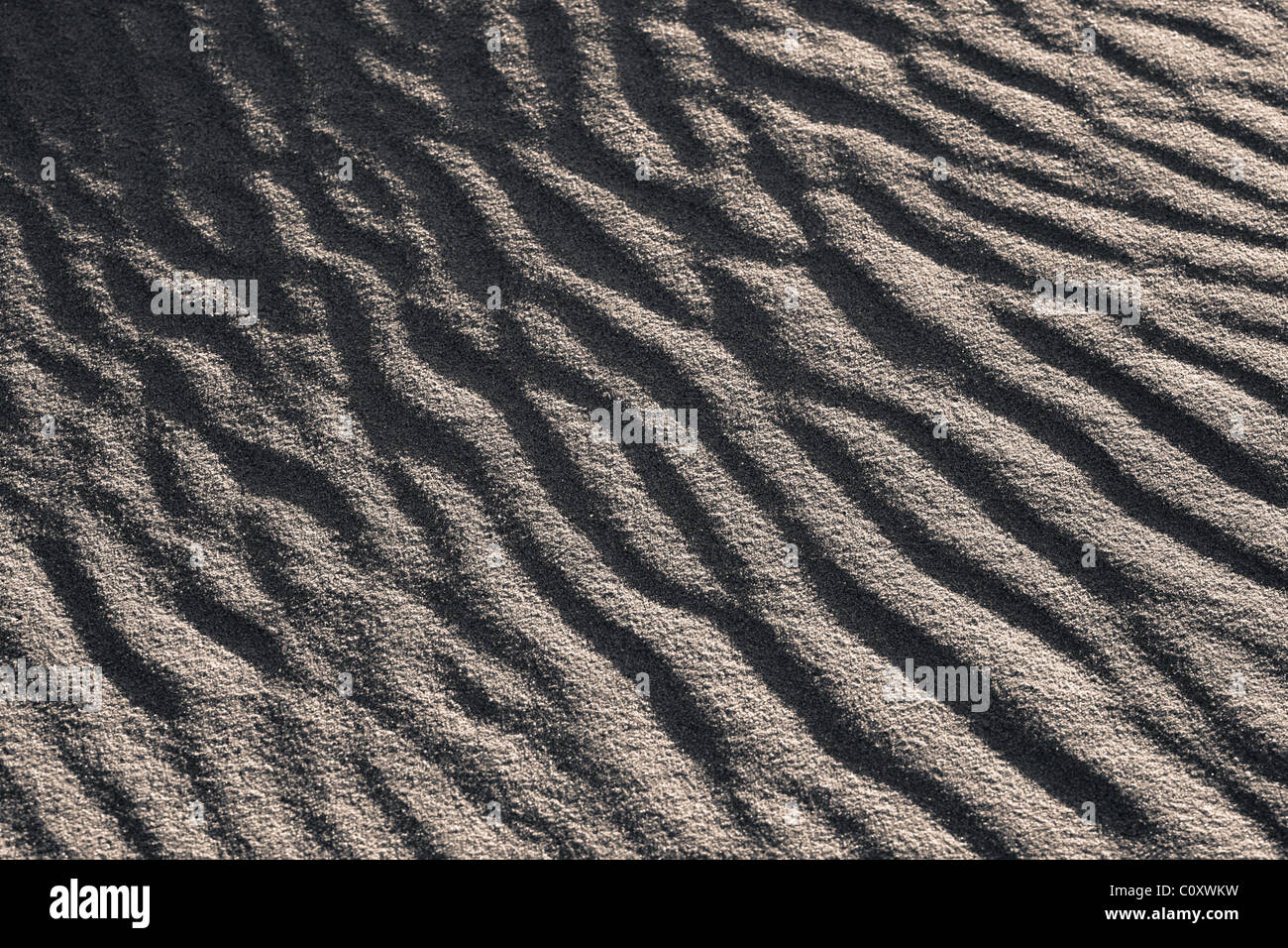 Waves on sand dunes, black and white version Stock Photo - Alamy