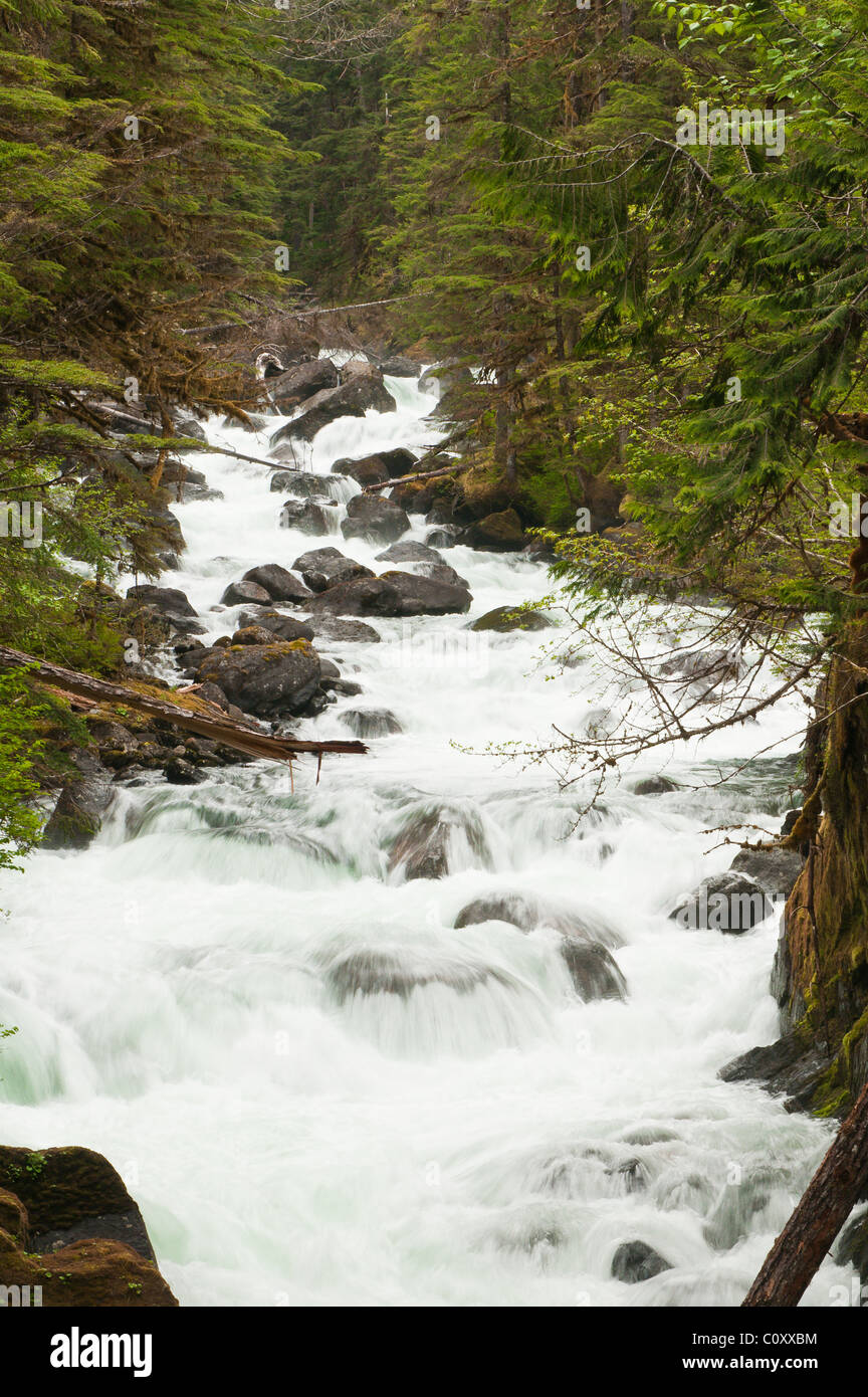 Alaska. Cascade Creek, Thomas Bay, Tongass National Forest, Southeast ...