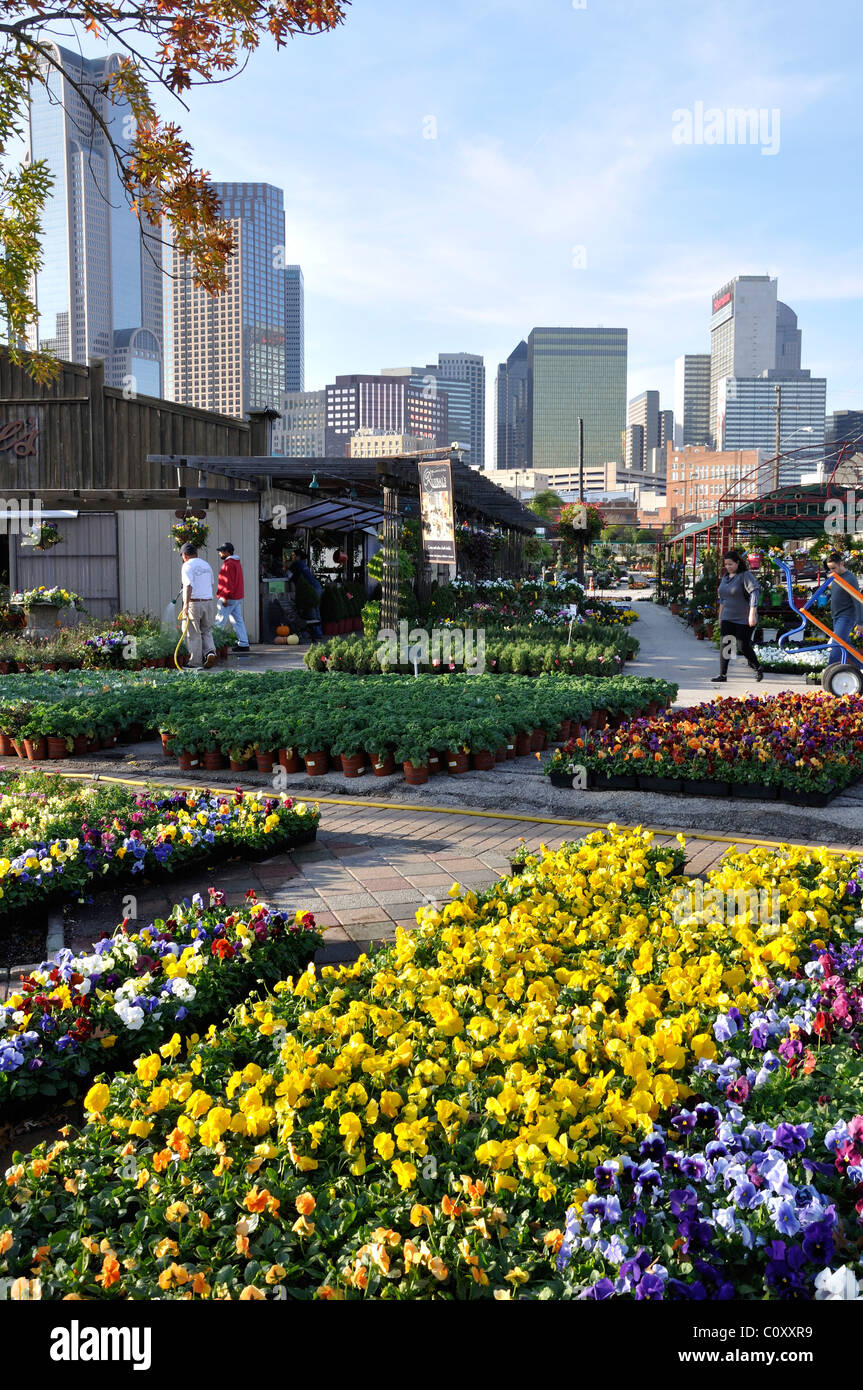 Texas Dallas Farmers Market Stock Photos & Texas Dallas Farmers Market