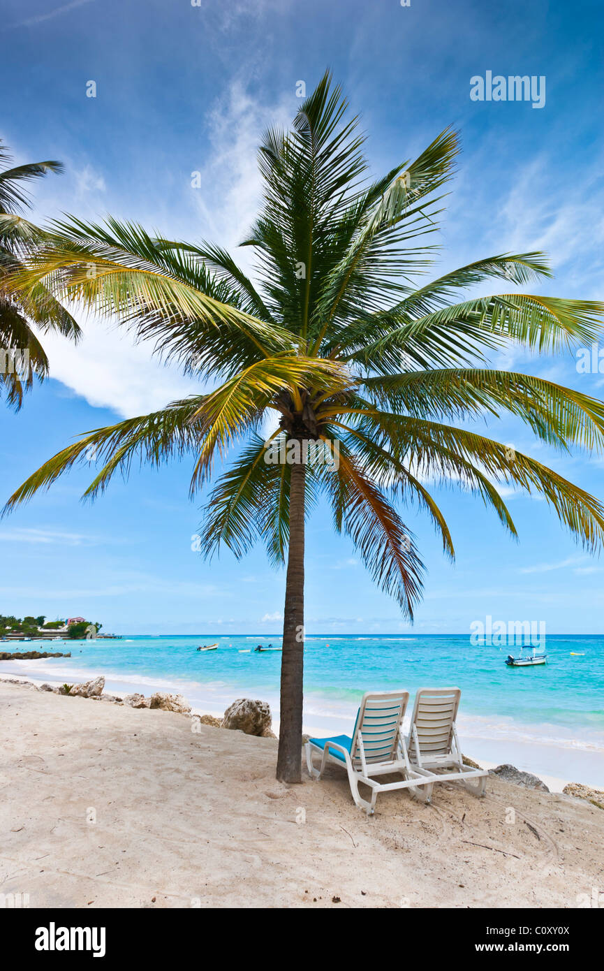 Classic palm tree and beach scene near St Lawrence Gap, Barbados Stock Photo