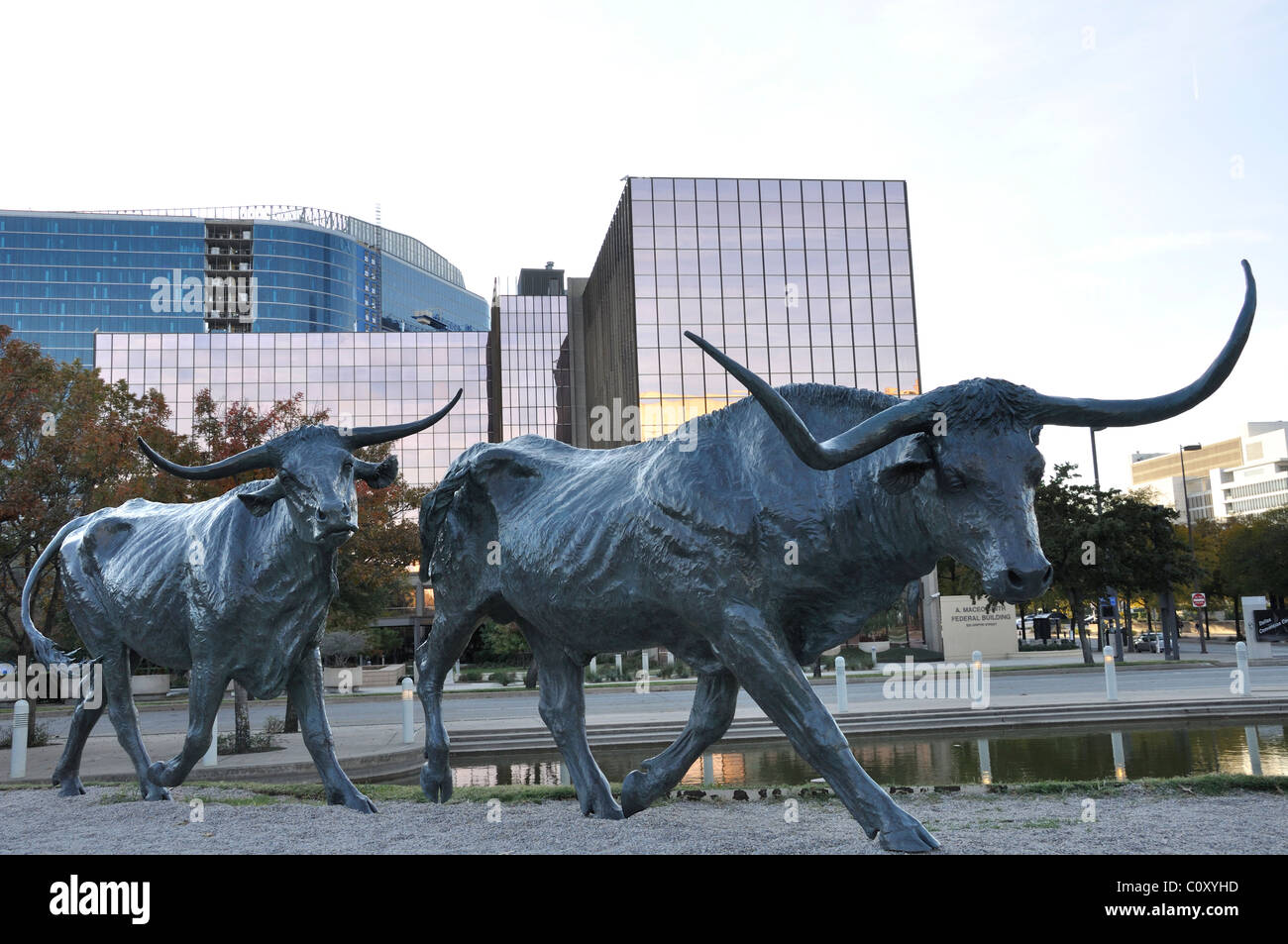 Cattle Drive sculpture ensemble by Robert Summers at Pioneer Plaza by