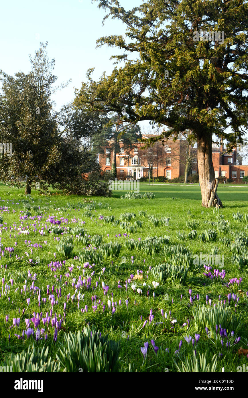 Sidcup Green and Manor House, Sidcup, Kent, UK Stock Photo Alamy