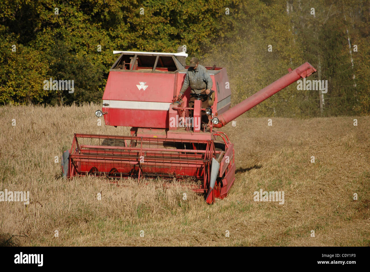 Red grain harvester combine in a field Stock Photo