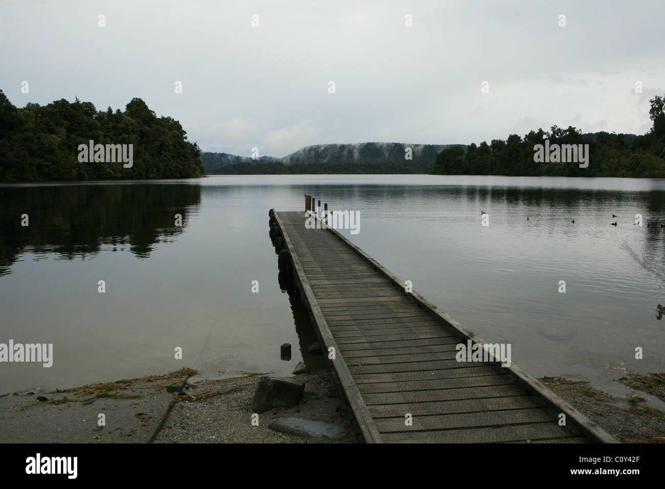 Foxes glacier New Zealand Stock Photo Alamy