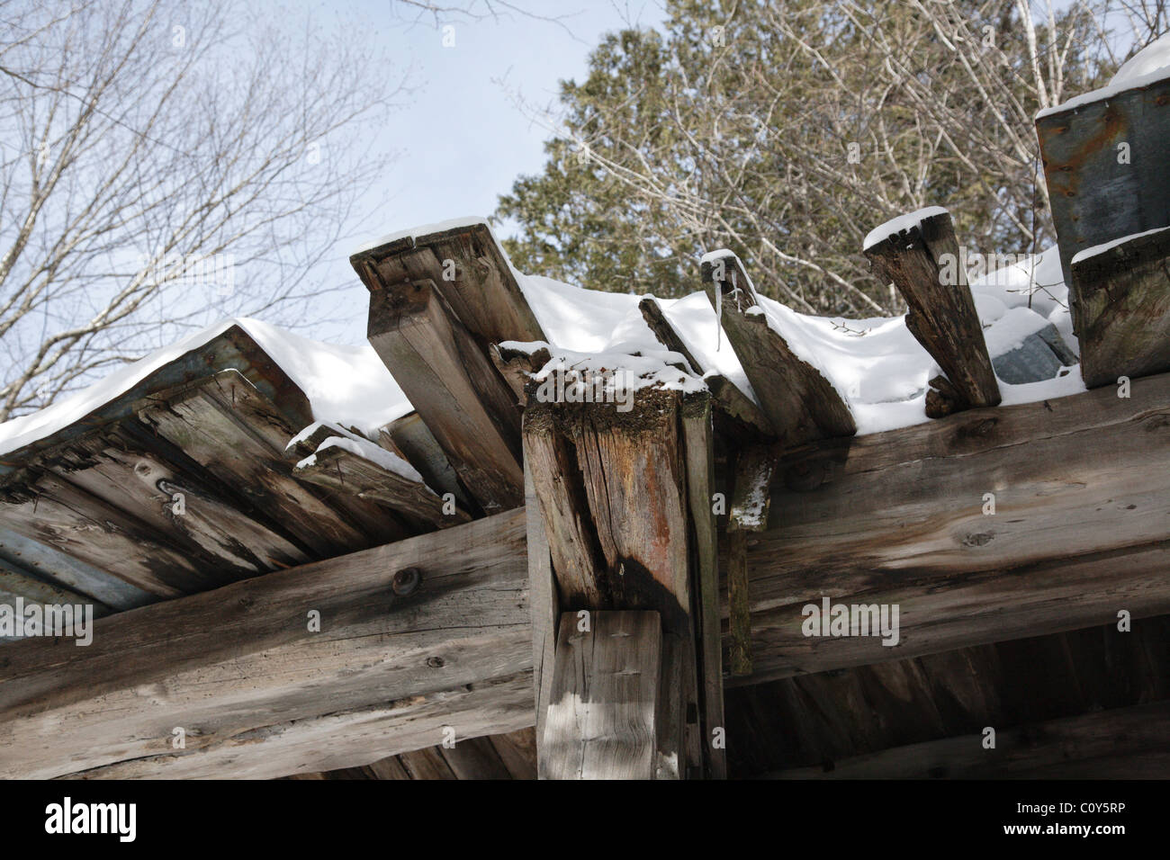 Built in the early 1900s, the abandoned Trestle No. 16 is along the old East Branch & Lincoln Railroad in the Pemigewasset Wilderness of New Hampshire Stock Photo