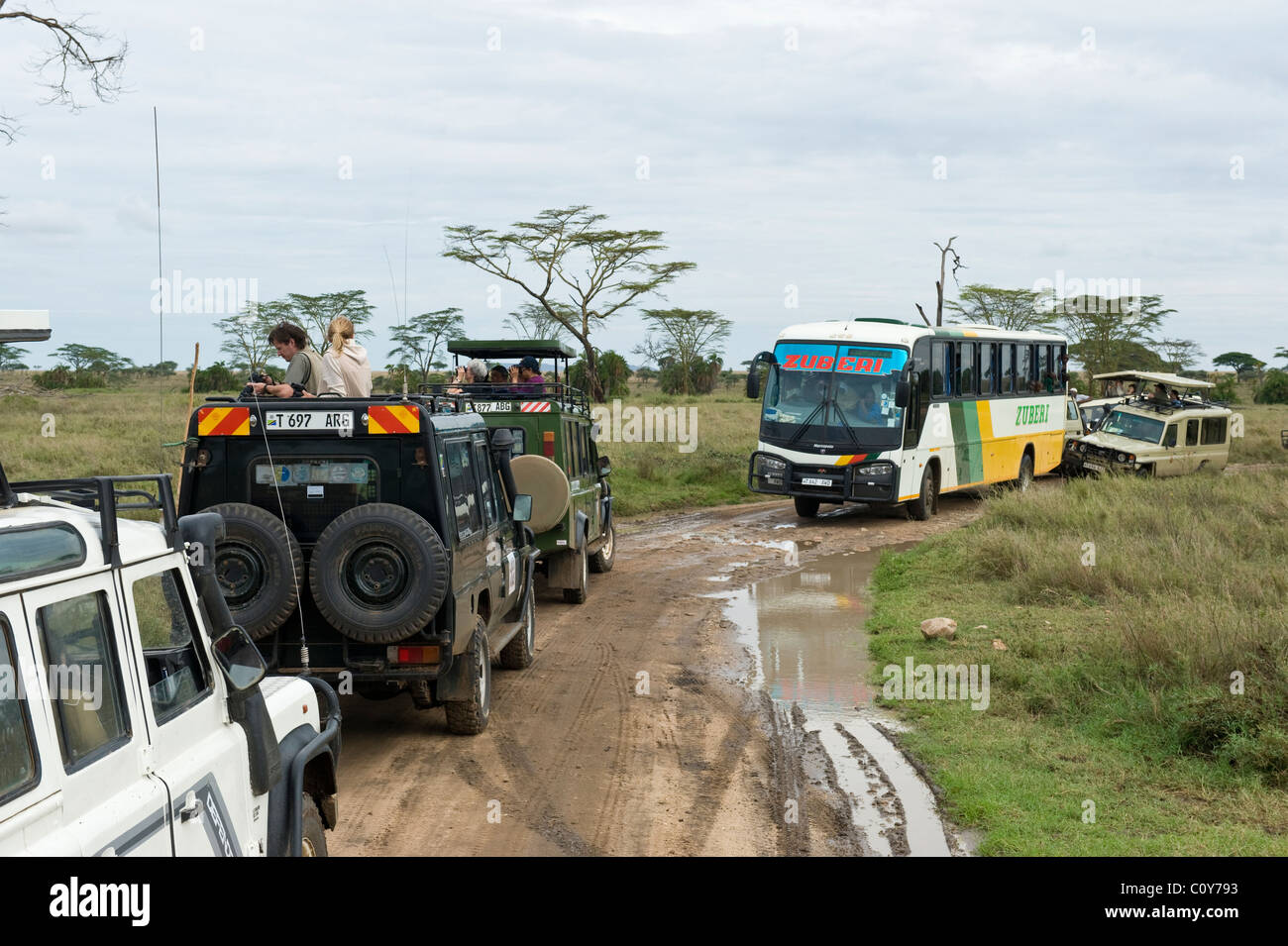 Traffic jam caused by visitors watching a leopard at Seronera Serengeti Tanzania Stock Photo