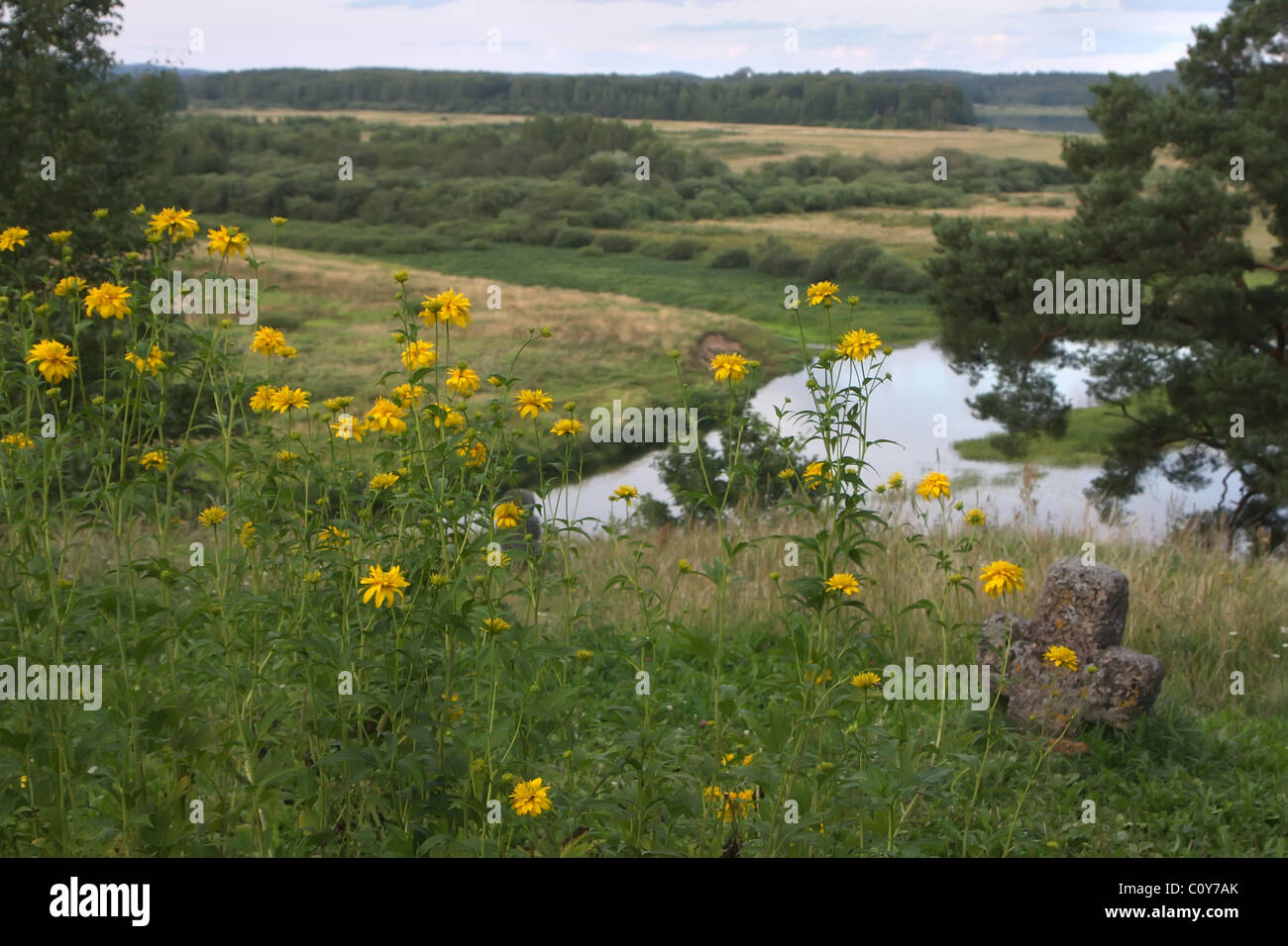 Picturesque valley with a memorial cross. Russia. Pskov region. Pushkinskiye Gory Stock Photo