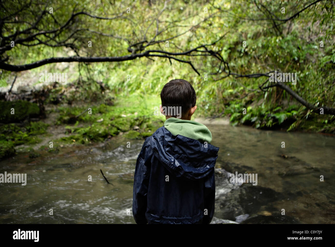 Boy looking at stream Stock Photo