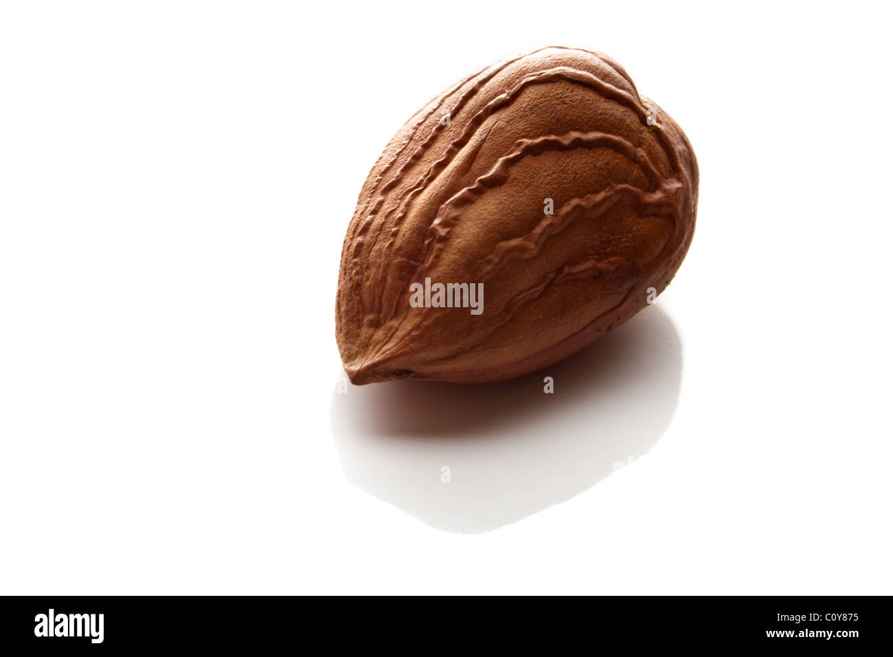 Hazelnut without shell Stock Photo Alamy