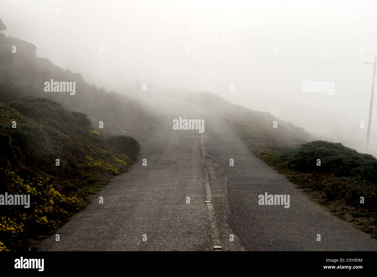 Road leading into the fog in Marin County near San Francisco, California Stock Photo