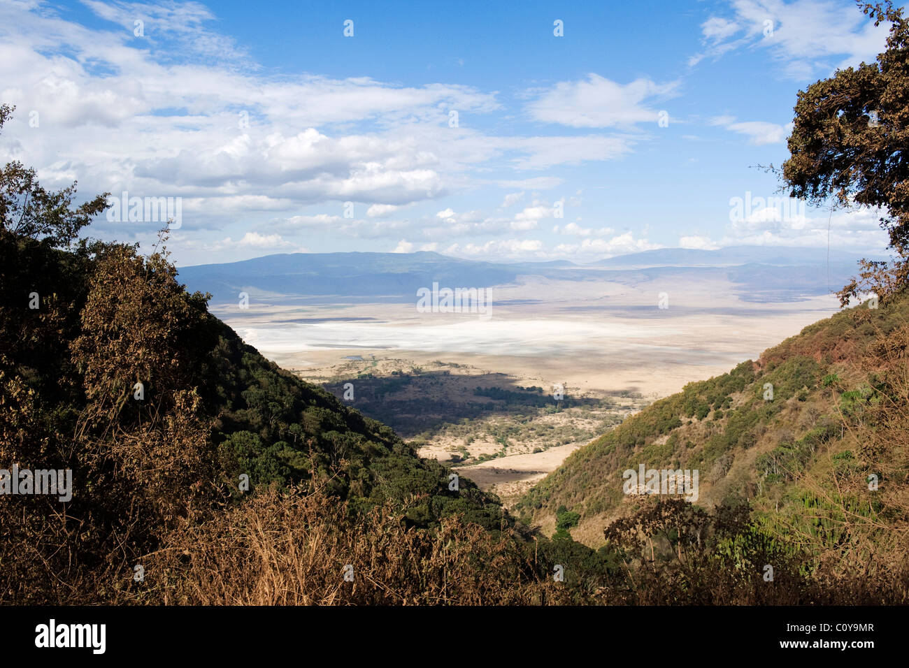 View into Ngorongoro Crater from the Ascent Road Tanzania Stock Photo