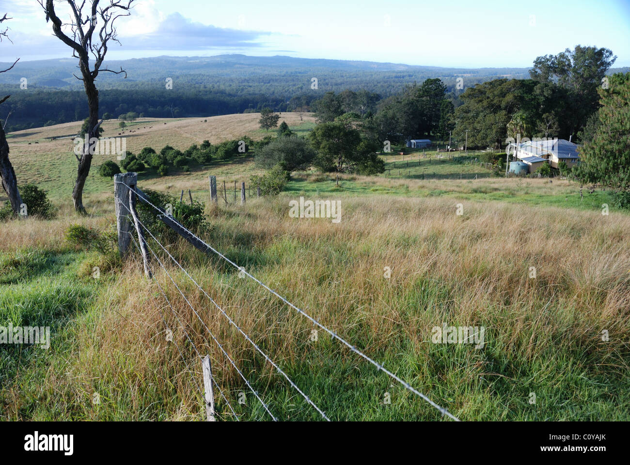 Fence, open land and farm house on rural property near the town of Crows Nest, South East