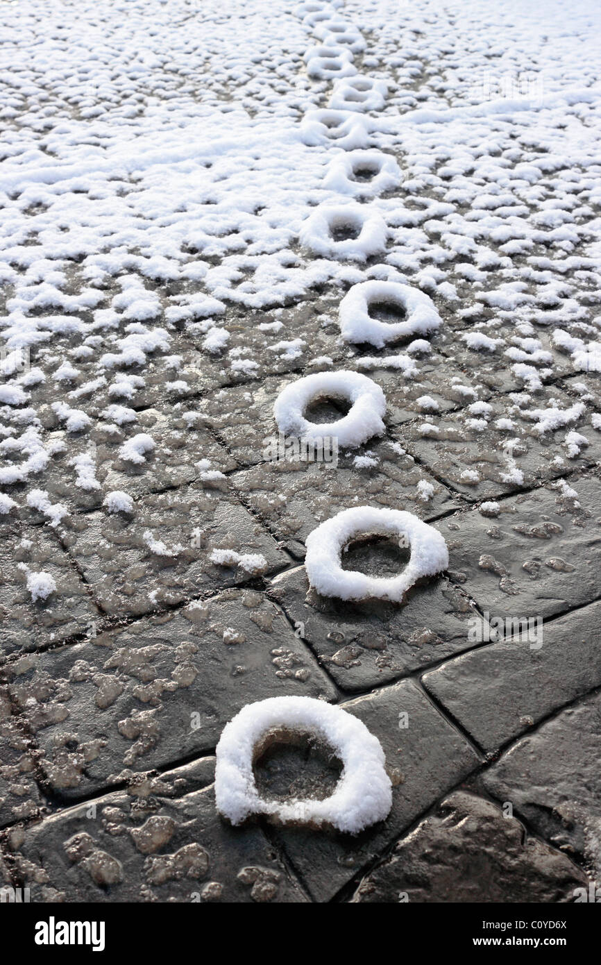 Cat Paw Prints preserved in the thawing snow Stock Photo