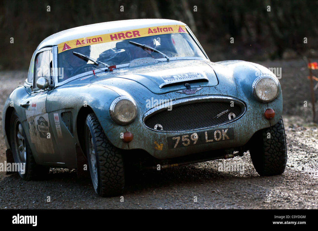 Austin Healey MkIII Rally Cra running through the forests in Wareham as ...