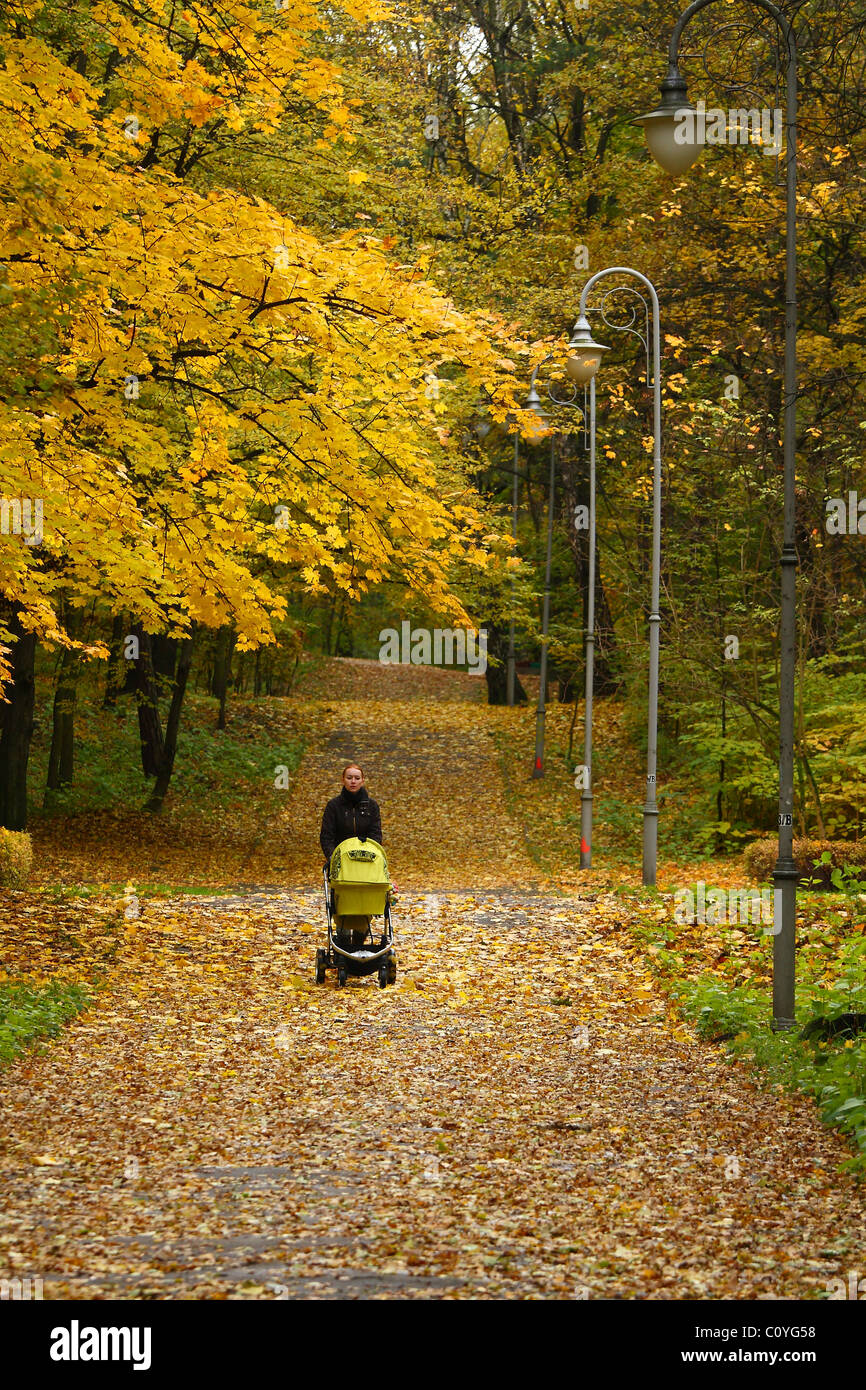 Young mother walking with pram in autumn park . Stock Photo