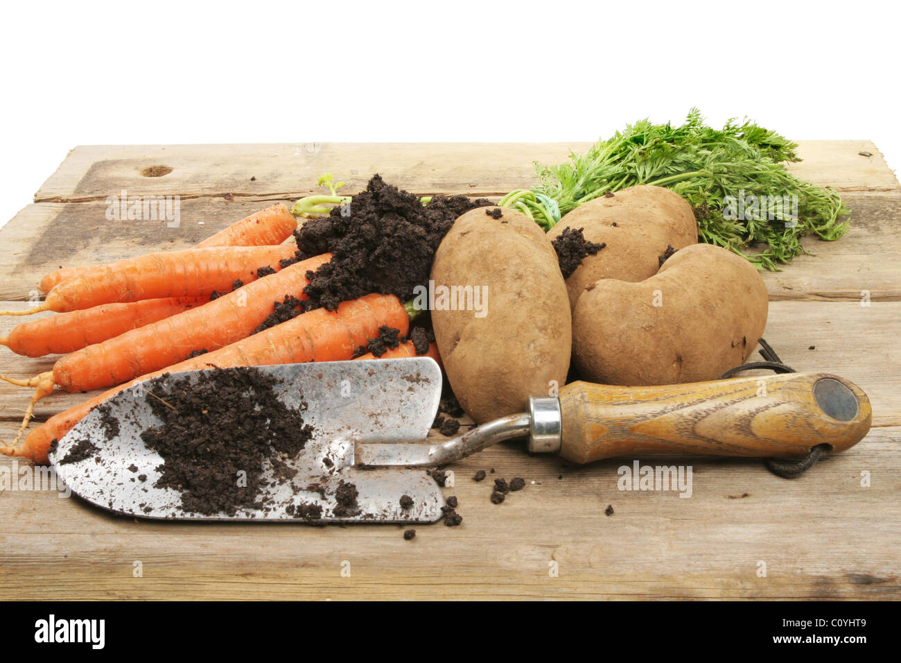 Freshly dug vegetables with a garden trowel on a rustic bench Stock Photo