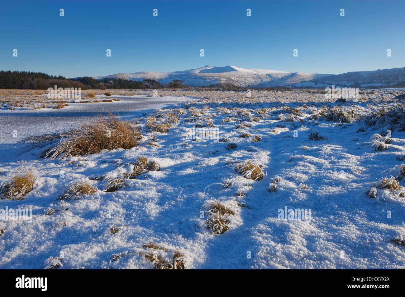 Pen y Fan & Corn Du mountains Mynydd Illtyd Common Brecon Beacons Powys