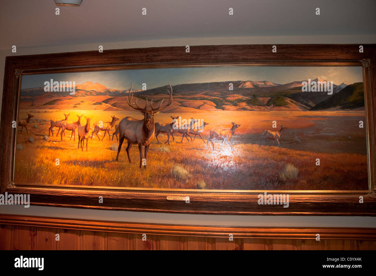 Jackson, Million Dollar Saloon,Theater,Theatre, Art Shops,Close to