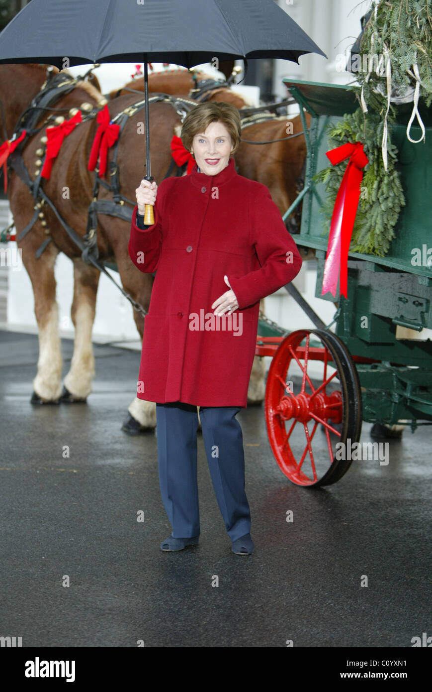 Laura Bush the White House Blue Room Christmas Tree to the