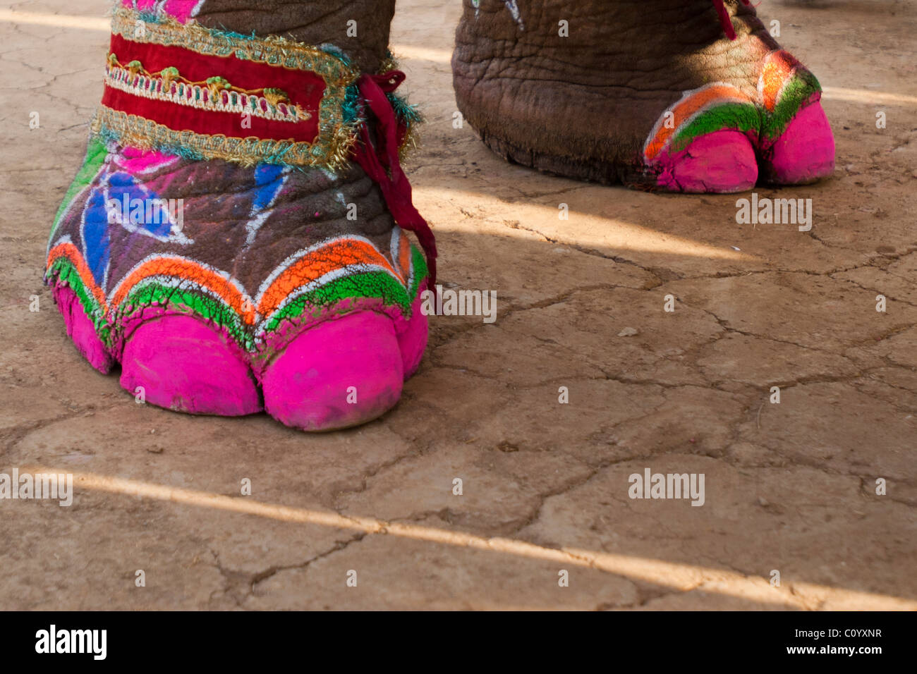 Painted toes of an elephant for the annual Jaipur elephant festival Stock Photo