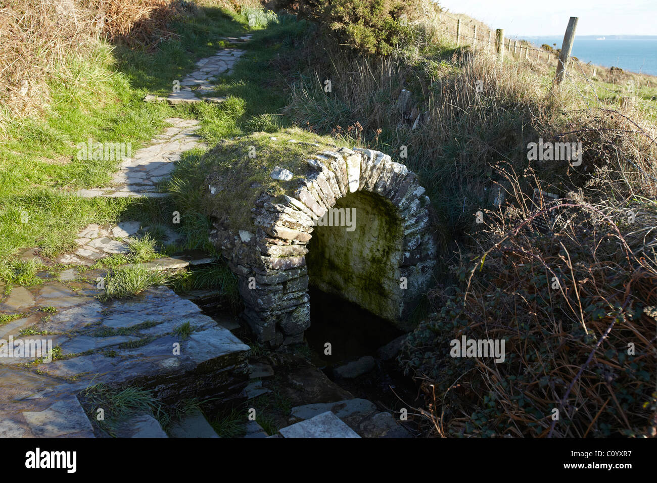 St Nons Well, near St Davids, Pembrokeshire, Wales, UK Stock Photo