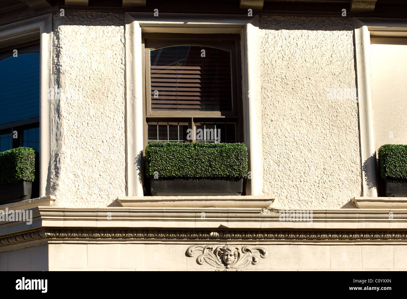 Stucco wall with old window and topiary in window box Stock Photo Alamy
