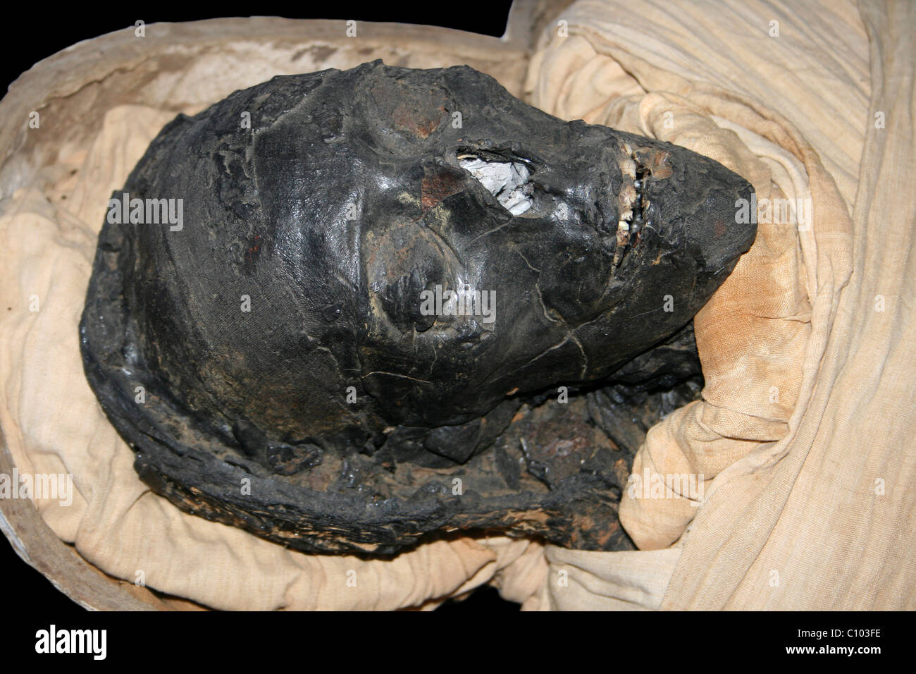 Mummy of Padiamun, sailor of the bark of Amun Stock Photo