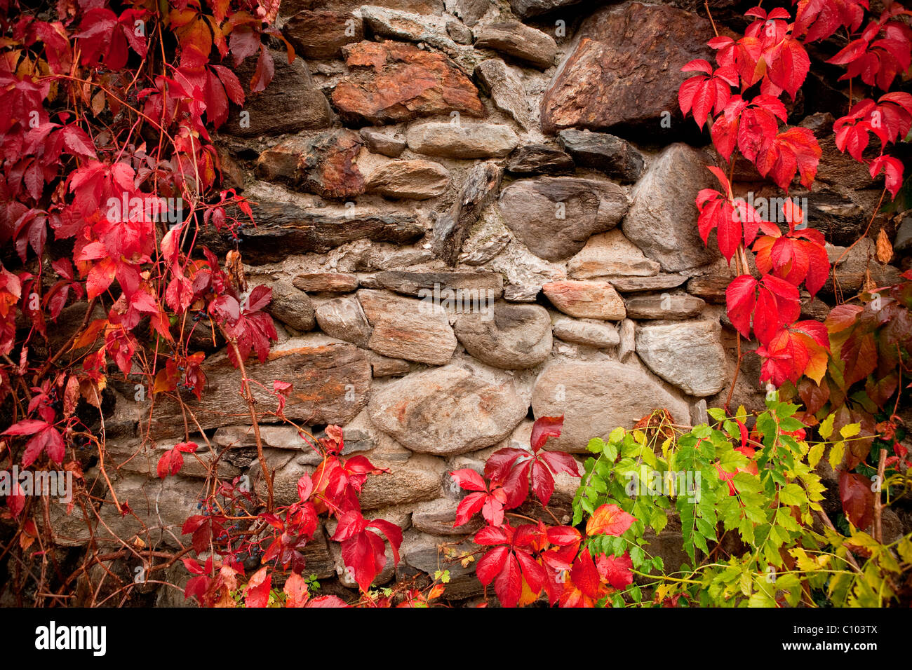 Old wall building overgrown hi-res stock photography and images - Alamy