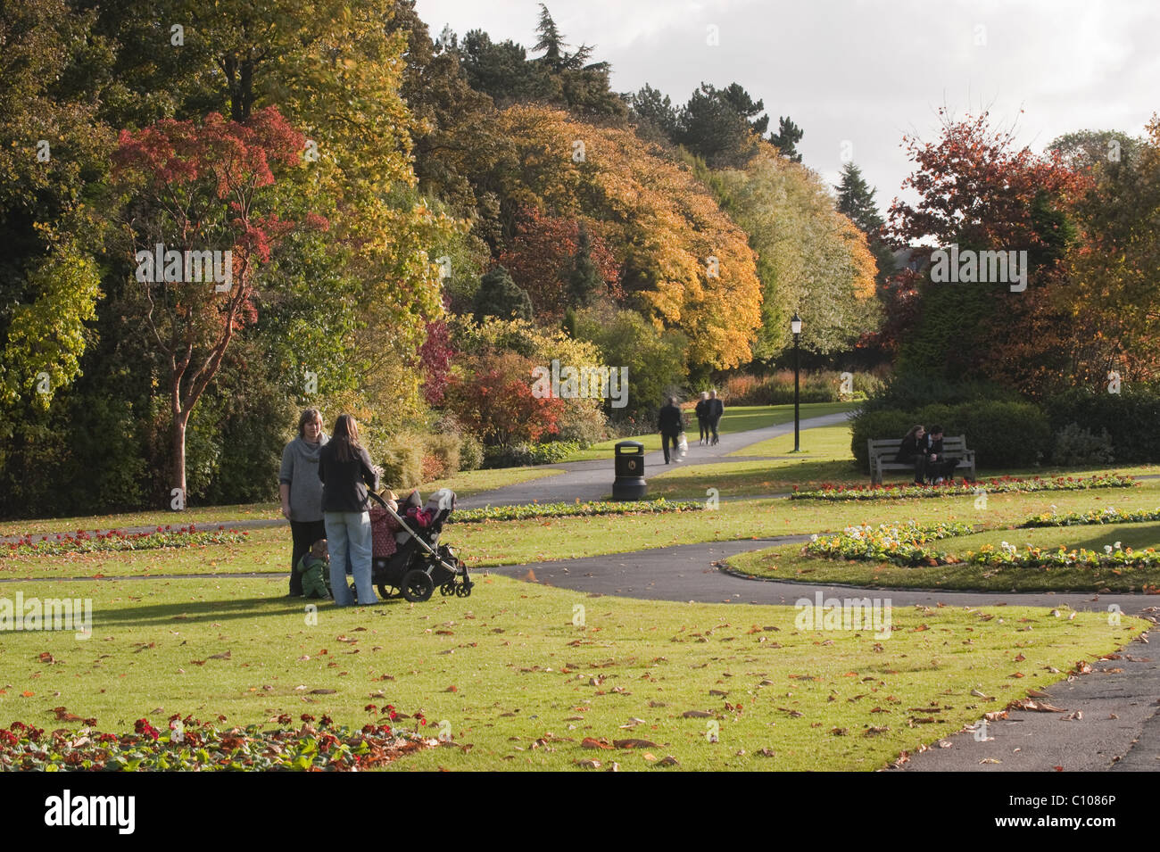 Beautiful urban landscaped park in autumn with bright colourful leaves on trees, & people relaxing - Valley Gardens, Harrogate, Yorkshire, England. Stock Photo