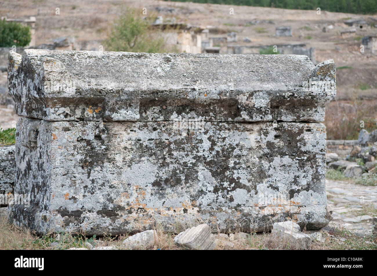Antiker Sarkophag in der Totenstadt vor dem Nordtor von Hierapolis, Türkei Stock Photo