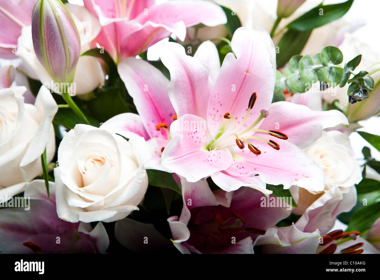A sharp,focused, close up photo of a bouquet of flowers, including ...