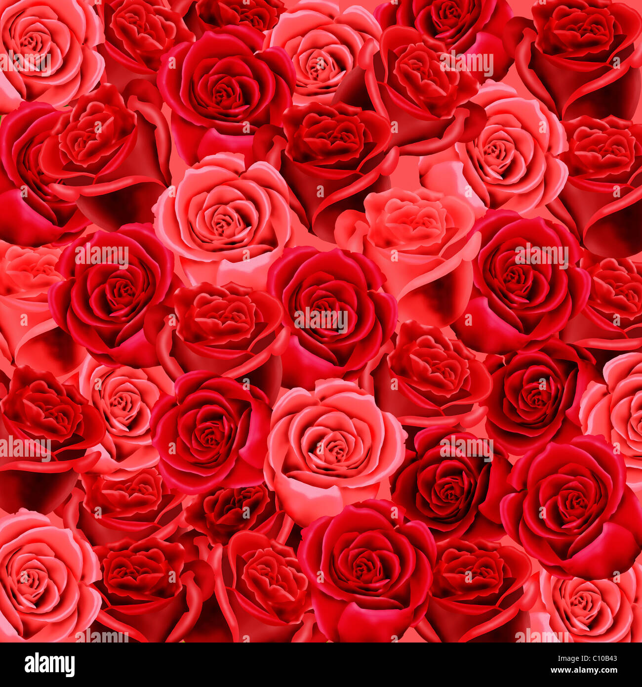 Wallpaper or background of red roses Stock Photo - Alamy