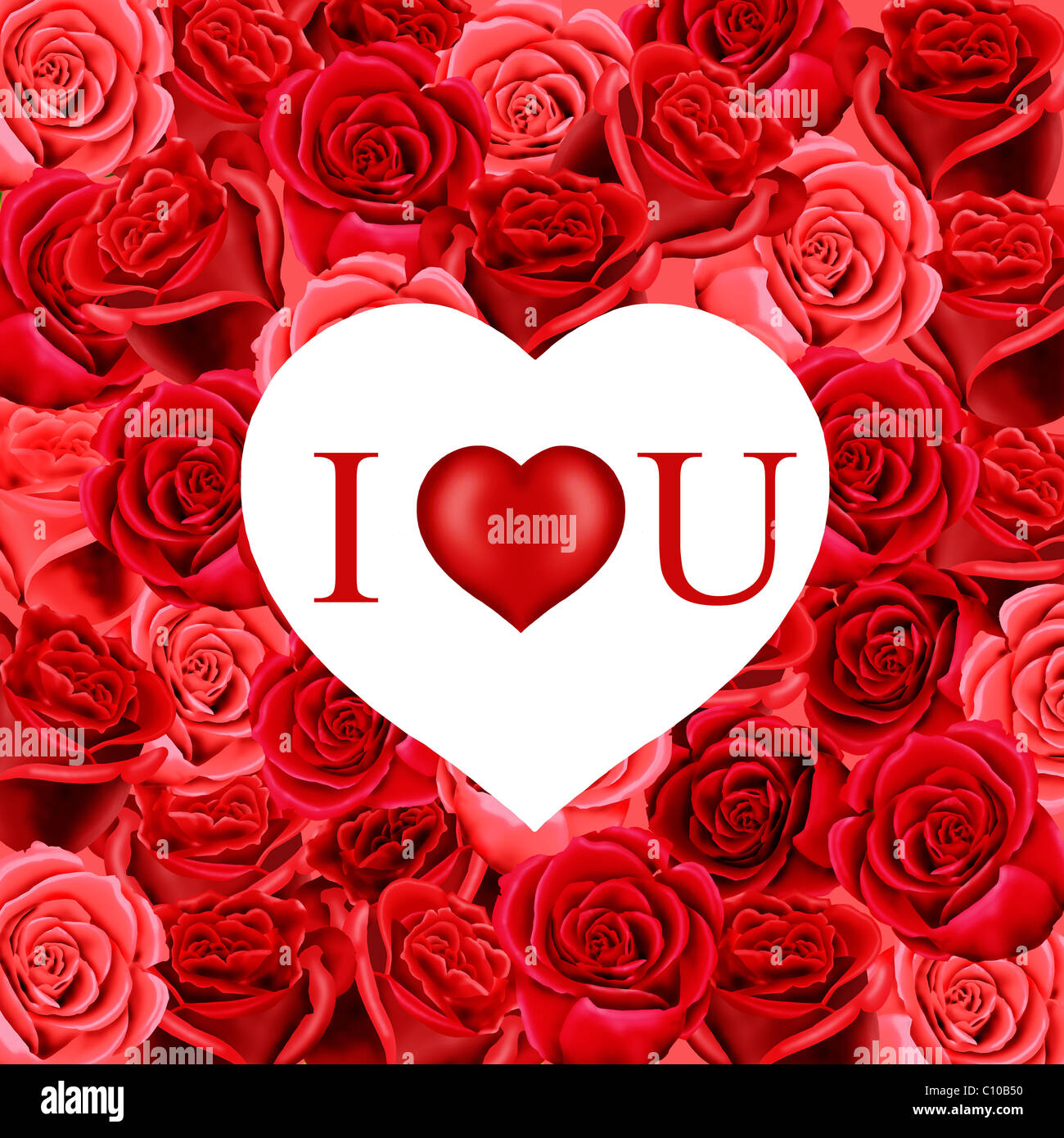 White Heart With I Love You On A Background Of Red Roses Stock Photo Alamy