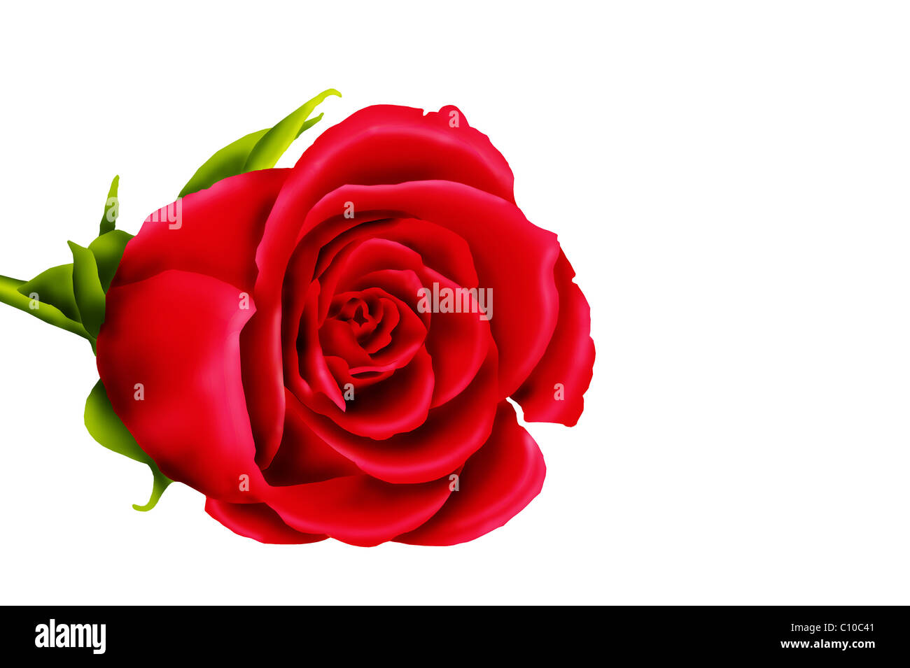 Single red rose Stock Photo - Alamy