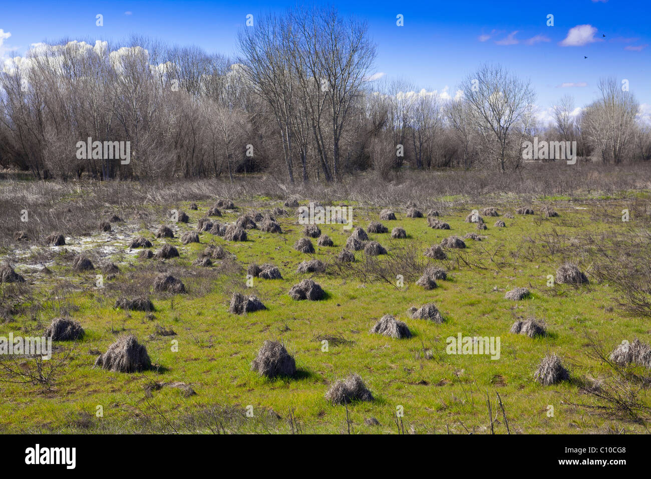 Hillocks High Resolution Stock Photography and Images - Alamy