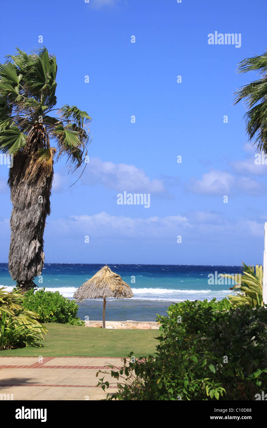 beach view beach shade palm tree ocean sunny Stock Photo