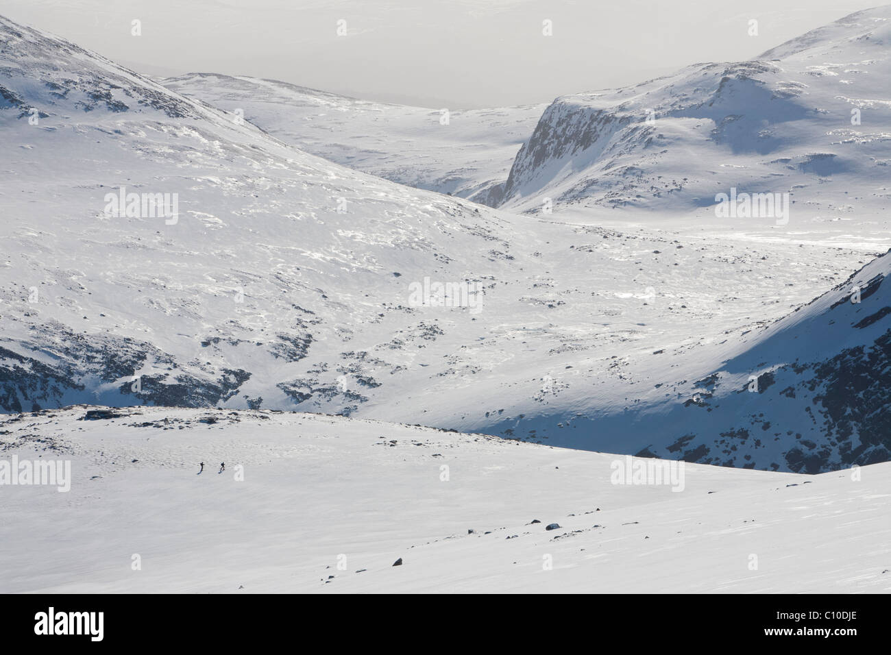 Ski mountaineers on the Cairngorm Plateau in full winter conditions, Scotland, UK. Stock Photo