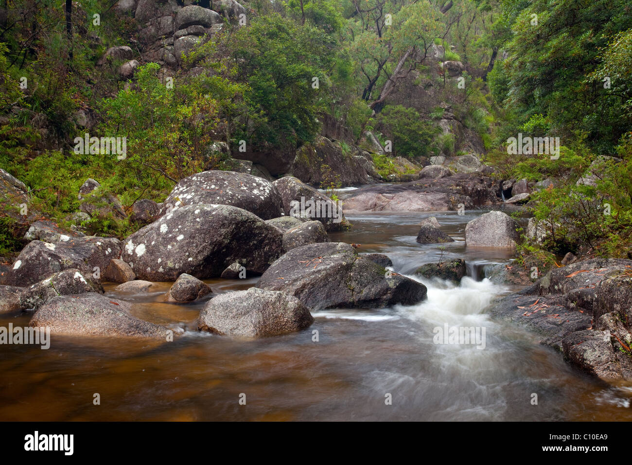 Murrumbooee Cascades (Dandahra Creek), Gibraltar Range National Park, New South Wales, Australia Stock Photo