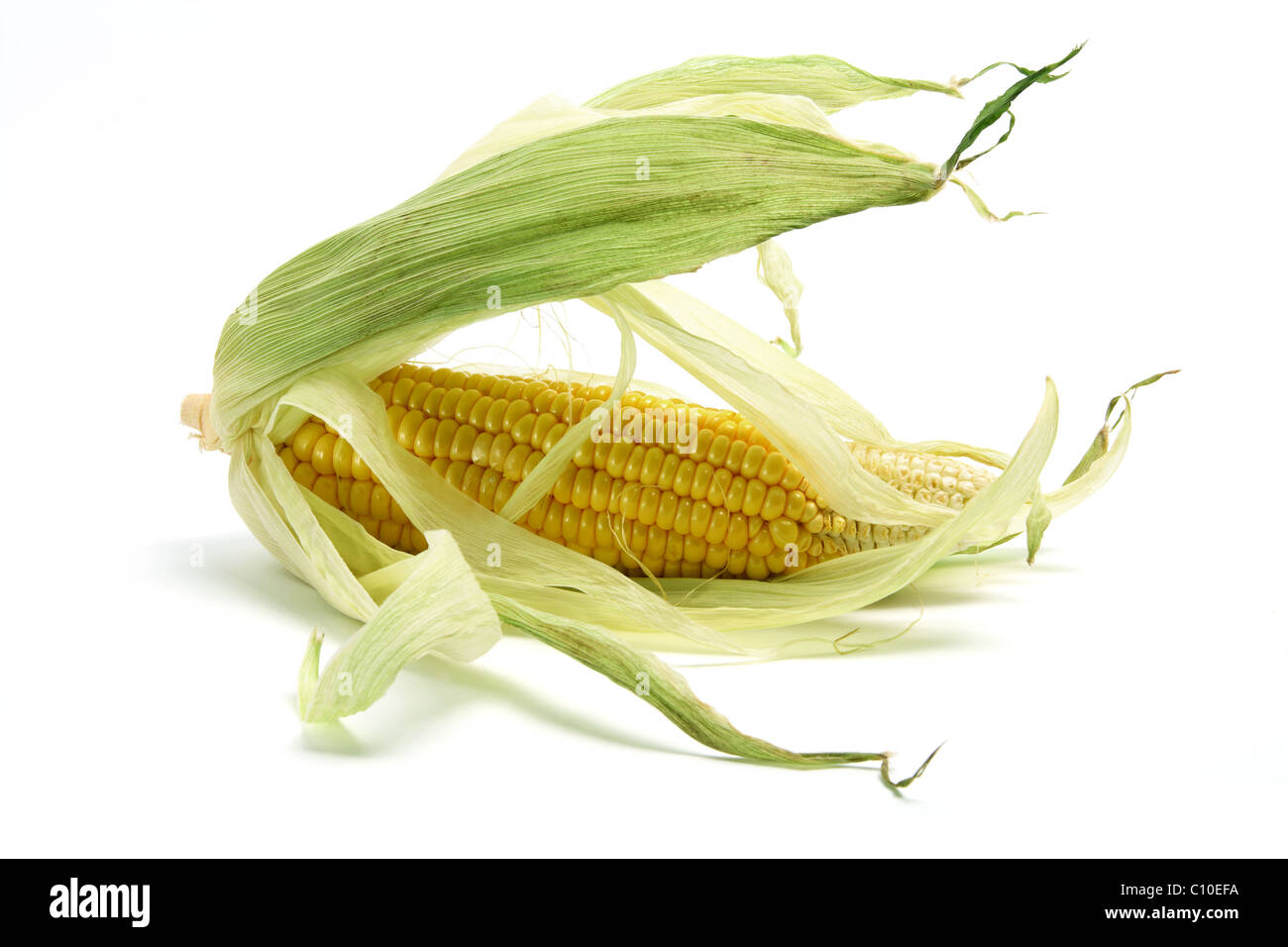 Corn husk Cut Out Stock Images & Pictures Alamy