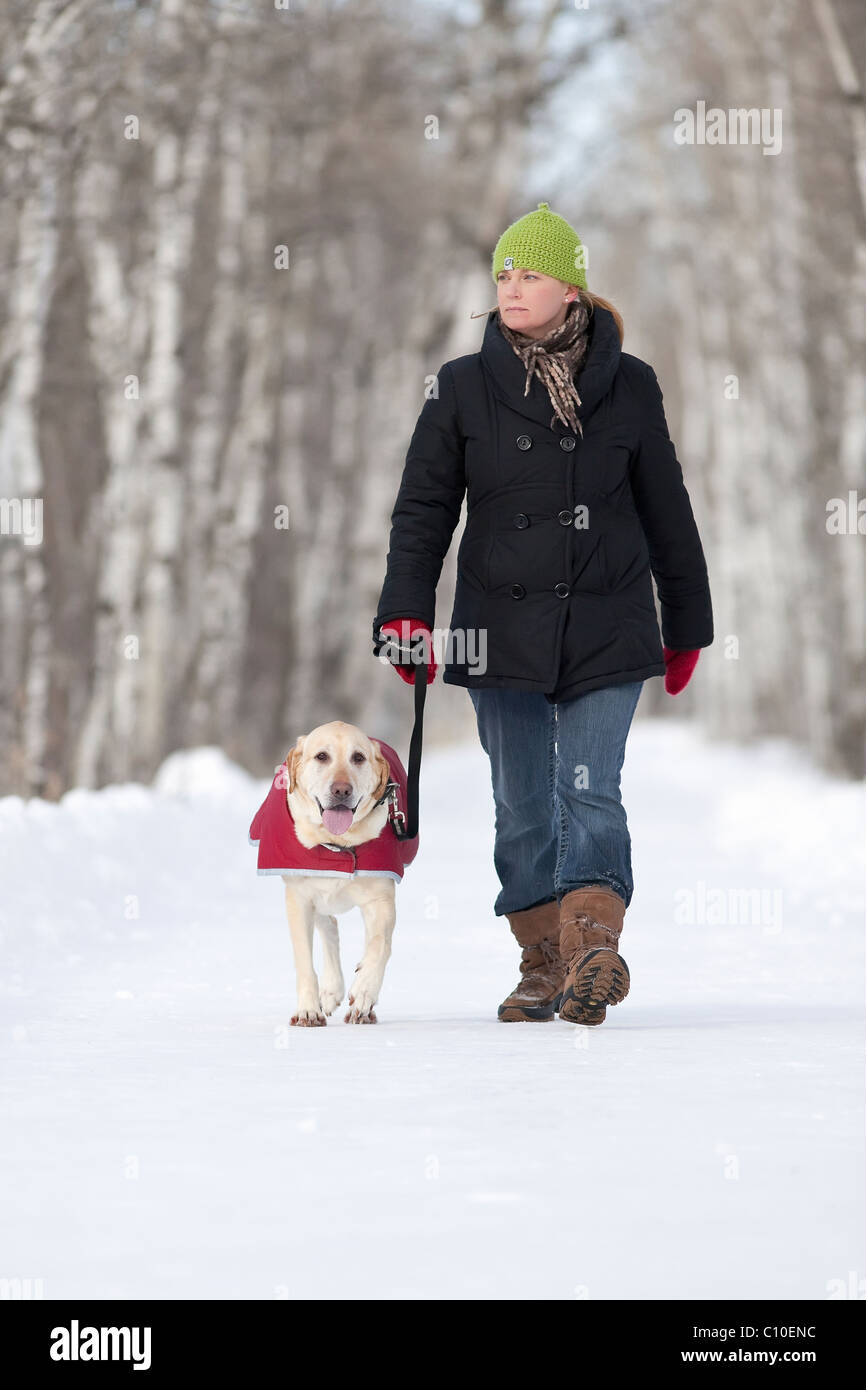 Woman walking her dog on a snow covered path.  Assiniboine Forest, Winnipeg, Manitoba, Canada. Stock Photo